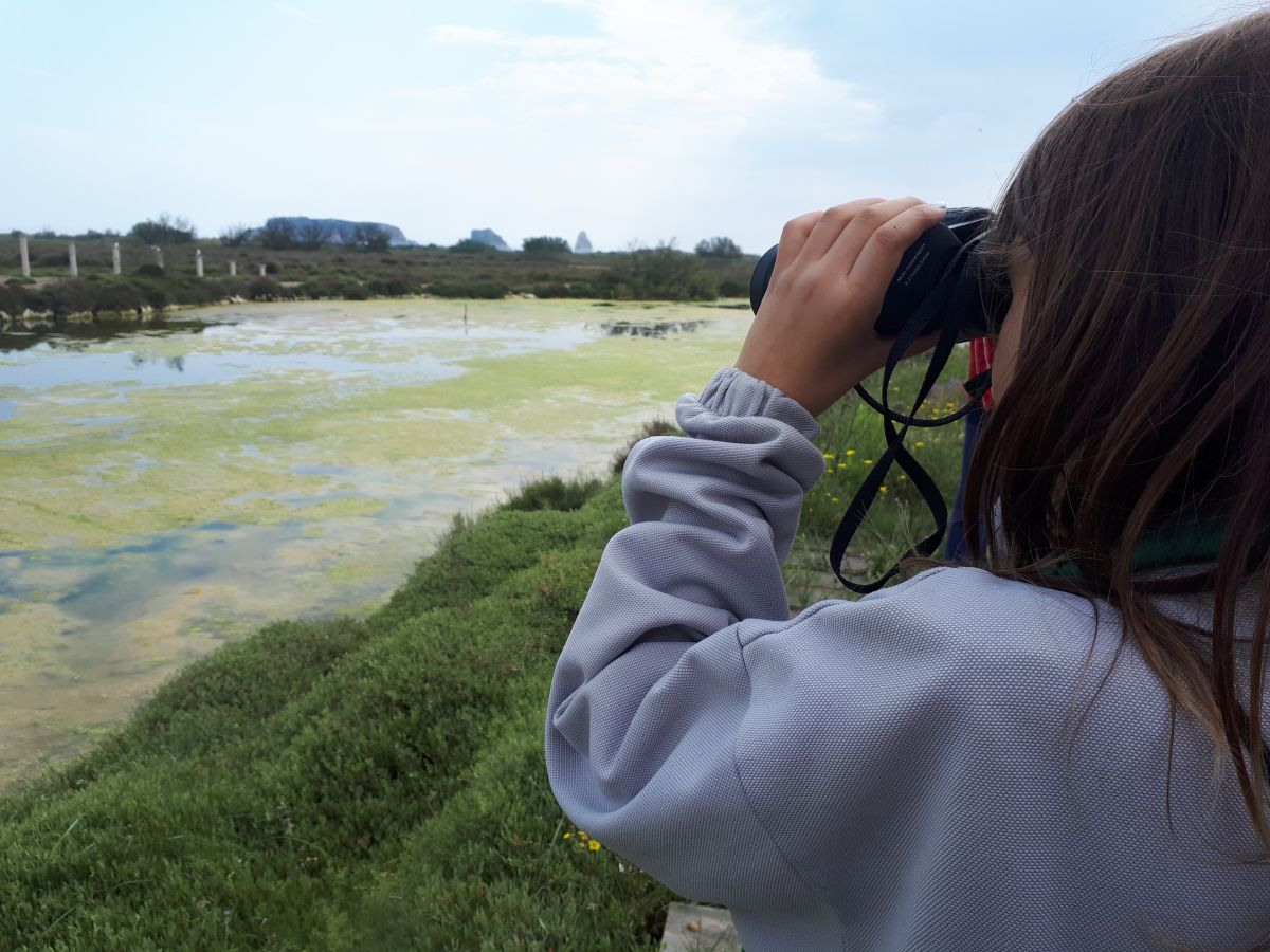 Download Els Aiguamolls Del Baix Ter La Diversitat Dels Ambients For iPhone Free Get Wallpaper Els Aiguamolls Del Baix Ter La Diversitat Dels Ambients Free
