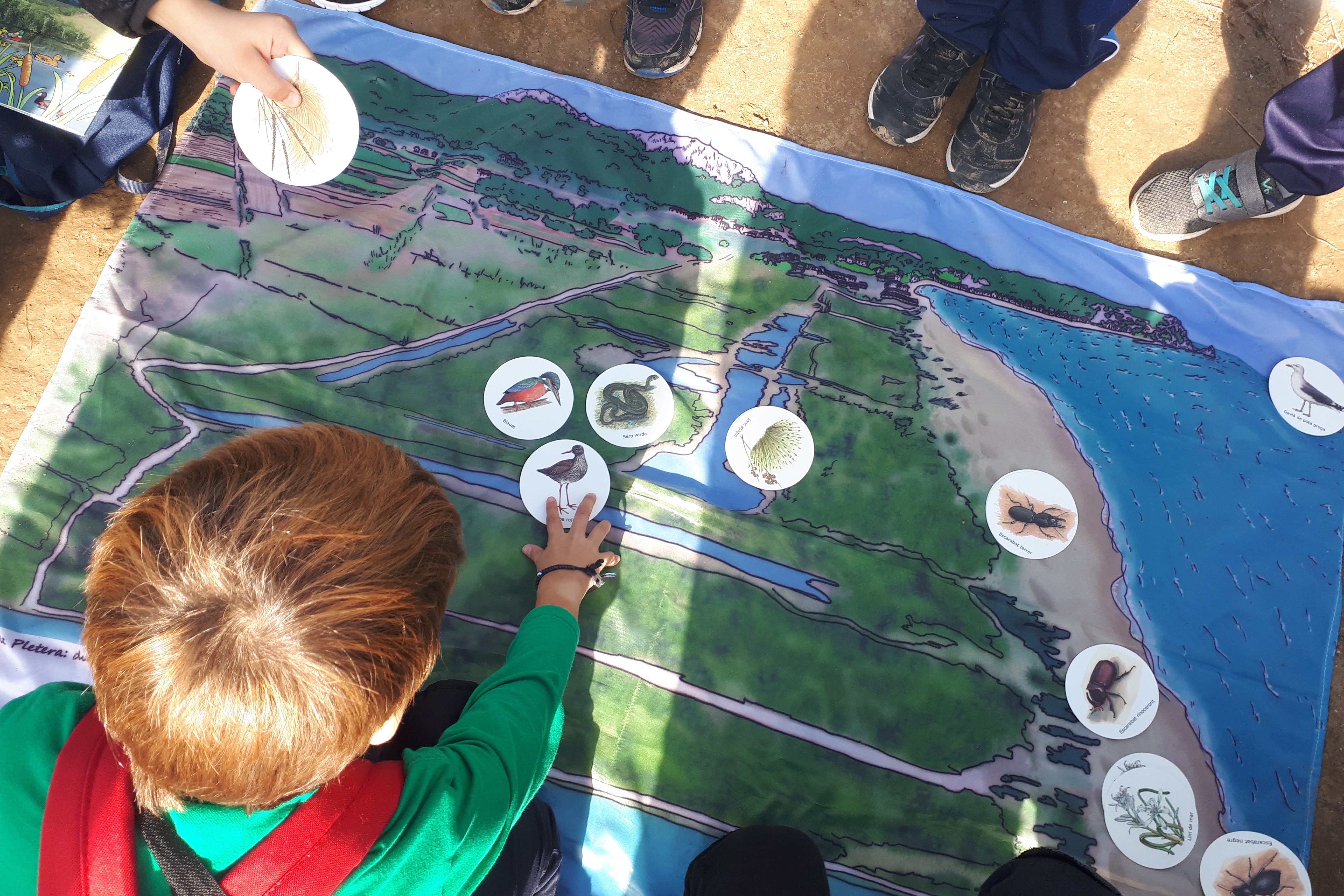 El Ter, home i paisatge | © Museu de la Mediterrània