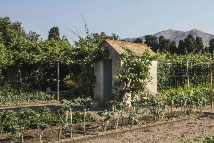 Torroella, terra d’hortes | © Jordi Bellapart