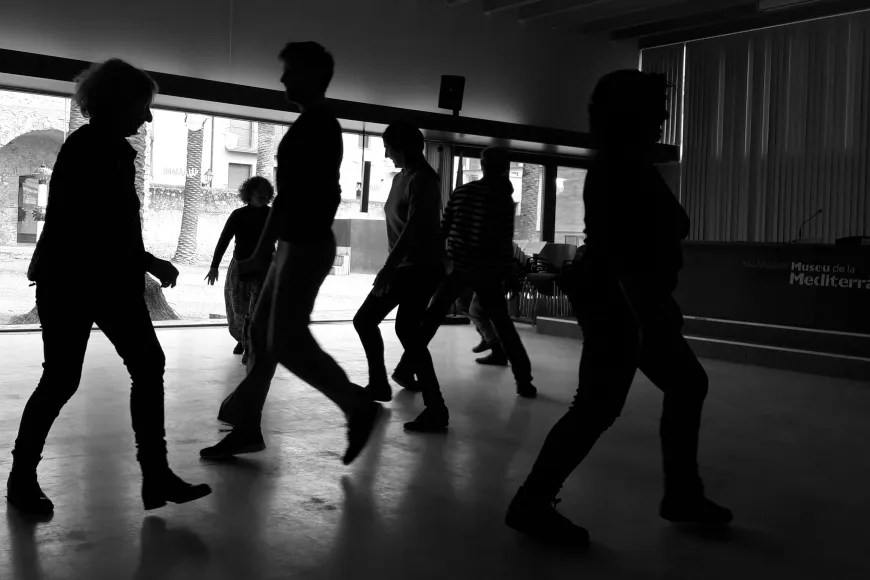 Dansa al Museu Dansa al Museu