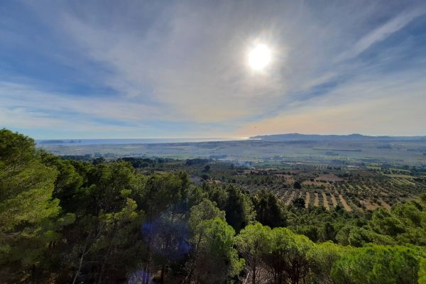Desperta al Baix Ter | © Museu de la Mediterrània Desperta al Baix Ter | © Museu de la Mediterrània