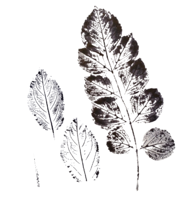 Taller d'estampació natural