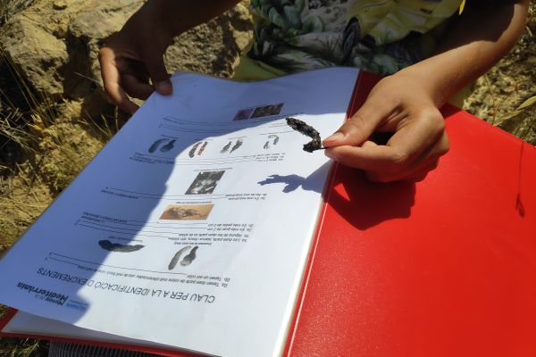 Seguim  el rastre! | © Úrsula Olmos. Museu de la Mediterrània Seguim  el rastre! | © Úrsula Olmos. Museu de la Mediterrània