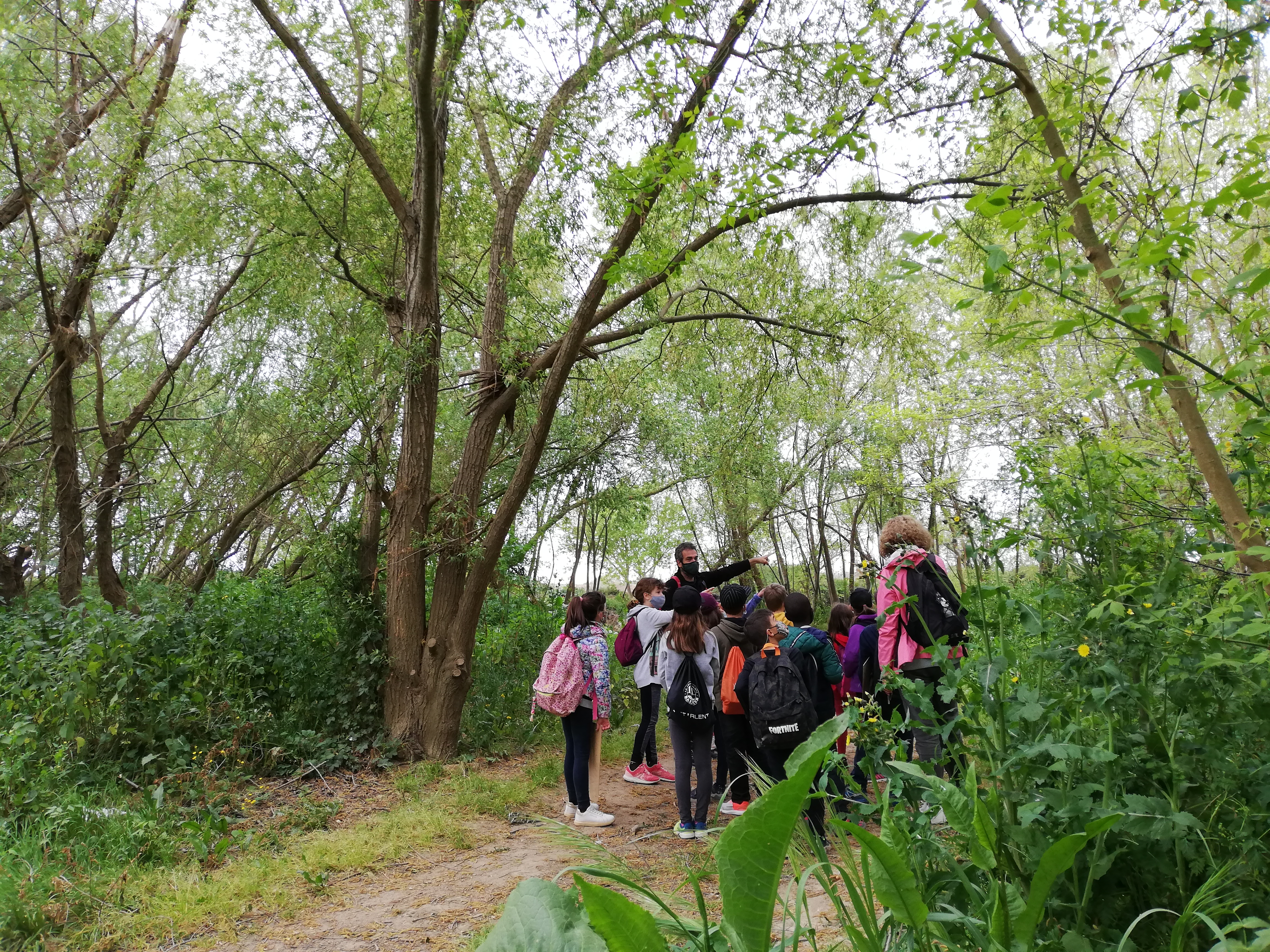 Seguim el rastre! | © Museu de la Mediterrània