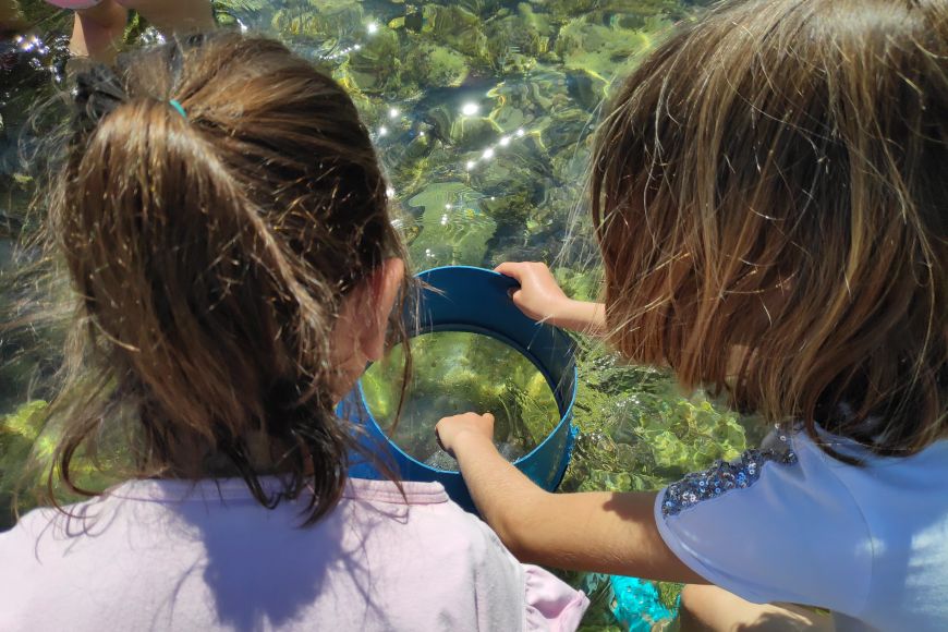 Arran de mar | © Museu de la Mediterrània Arran de mar | © Museu de la Mediterrània