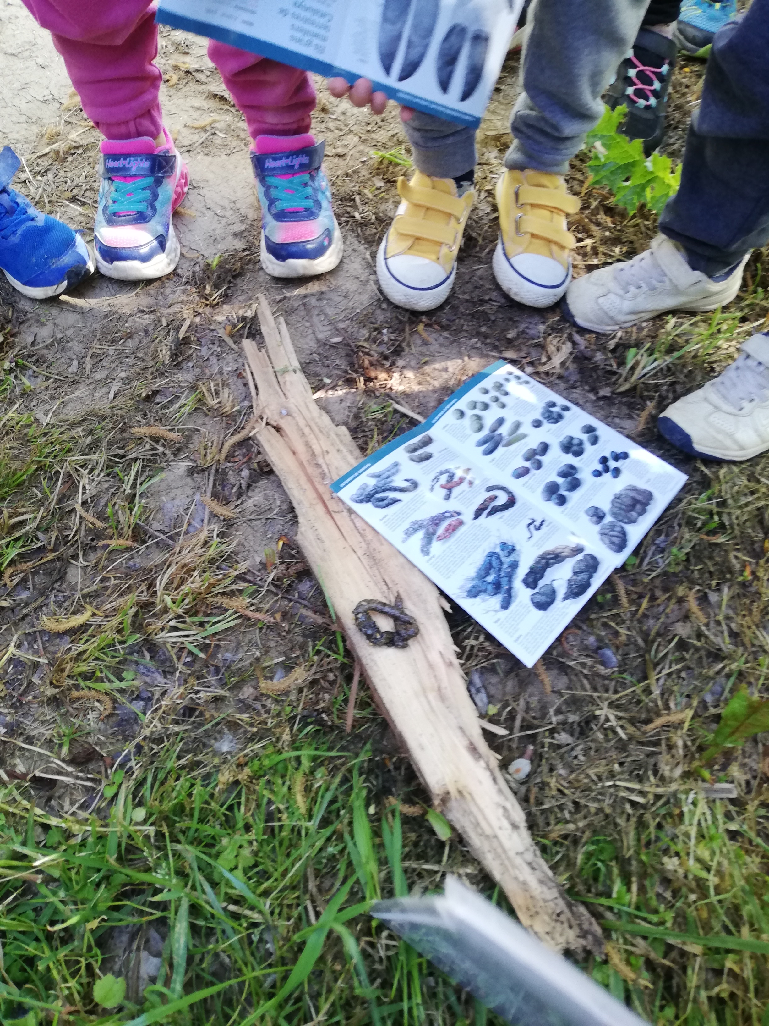 Activitat educativa Seguim el rastre! | © Museu de la Mediterrània