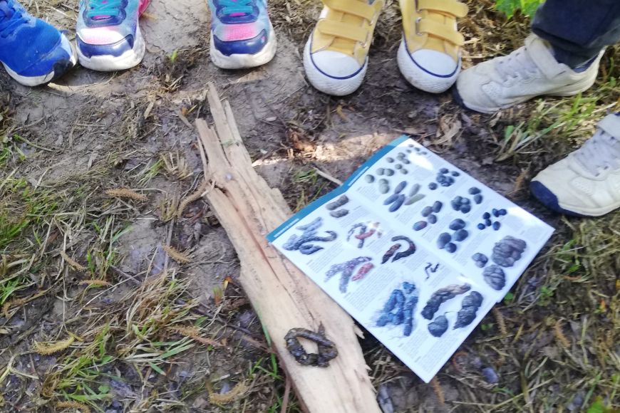 Activitat educativa Seguim el rastre! | © Museu de la Mediterrània Activitat educativa Seguim el rastre! | © Museu de la Mediterrània