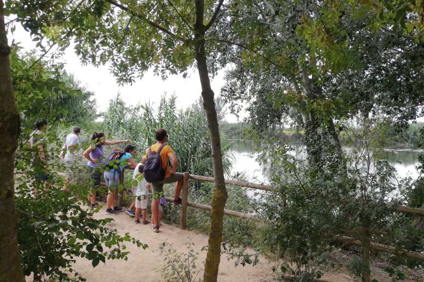 Activitat familiar Connectem amb l'entorn | © Museu de la Mediterrània Activitat familiar Connectem amb l'entorn | © Museu de la Mediterrània