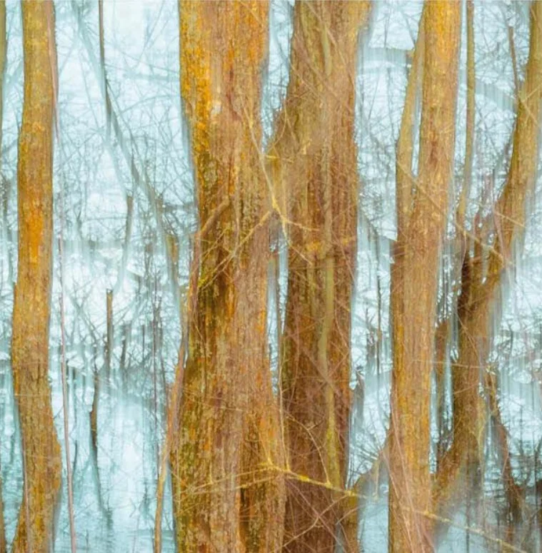 Quimera | © Laura Feixas