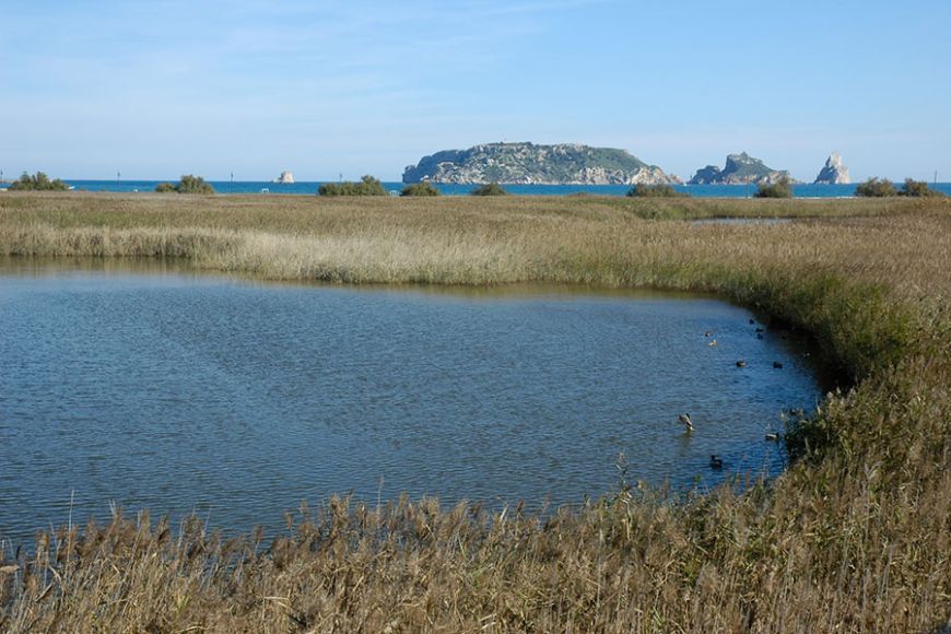 Projecte Life Ter Vell-Pletera: per a la restauració i ordenació de les llacunes i sistemes costaners del Baix Ter. Projecte Life Ter Vell-Pletera: per a la restauració i ordenació de les llacunes i sistemes costaners del Baix Ter.