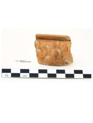 Vora de got de parets fines | © Museu de la Mediterrània Vora de got de parets fines | © Museu de la Mediterrània