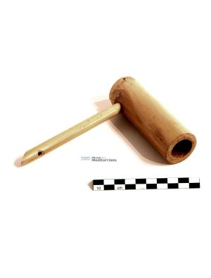 Rossinyol | © Museu de la Mediterrània Rossinyol | © Museu de la Mediterrània