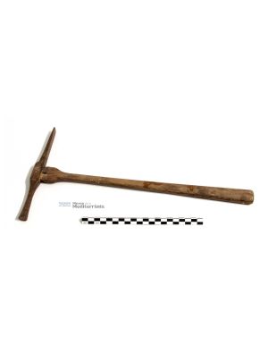 Maratell petit | © Museu de la Mediterrània Maratell petit | © Museu de la Mediterrània