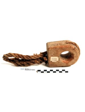 Bigota cega | © Museu de la Mediterrània Bigota cega | © Museu de la Mediterrània