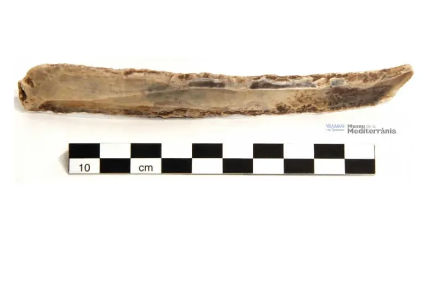 Làmina (ganivet) | © Museu de la Mediterrània Làmina (ganivet) | © Museu de la Mediterrània
