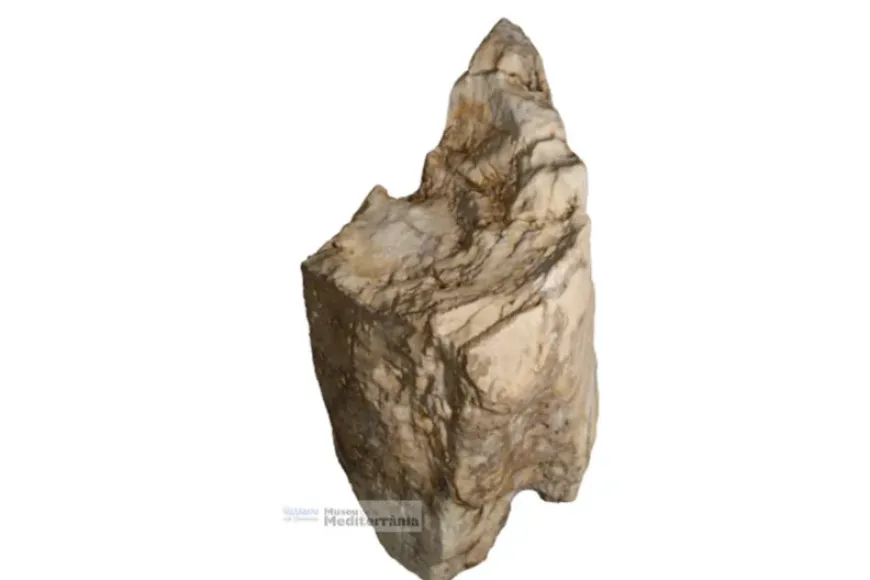 Fragment d’ullal d’elefant antic | © Museu de la Mediterrània Fragment d’ullal d’elefant antic | © Museu de la Mediterrània