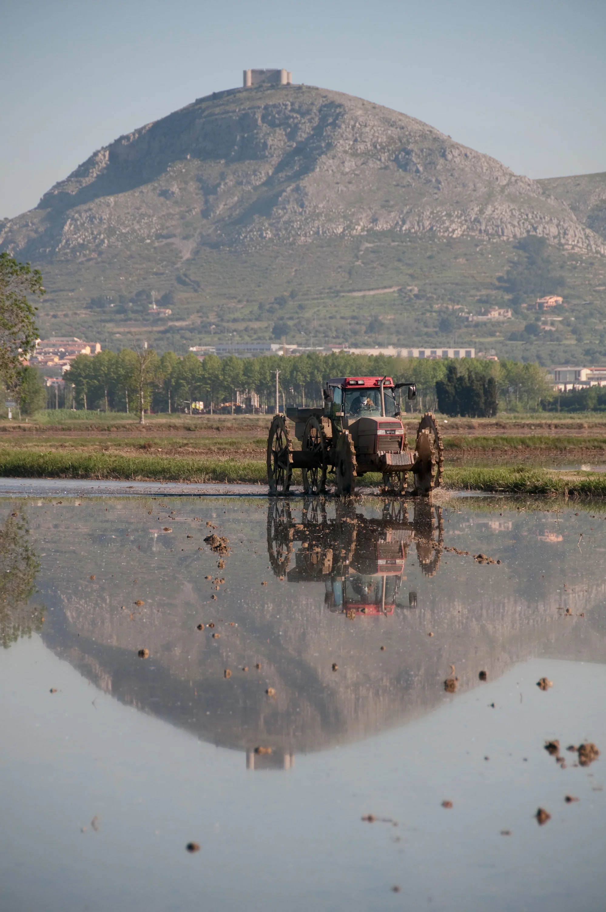 Premis Joan Torró i Cabratosa | © Museu de la Mediterrània