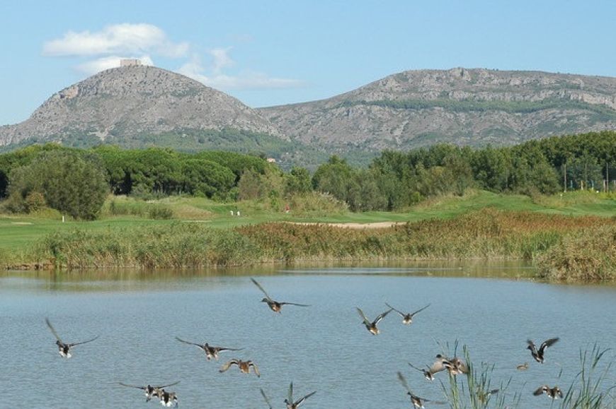 Els ocells del Daró i entorn de Gualta | © Ajuntament de Gualta Els ocells del Daró i entorn de Gualta | © Ajuntament de Gualta