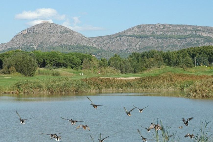 Els ocells del Daró i entorn de Gualta | © Ajuntament de Gualta