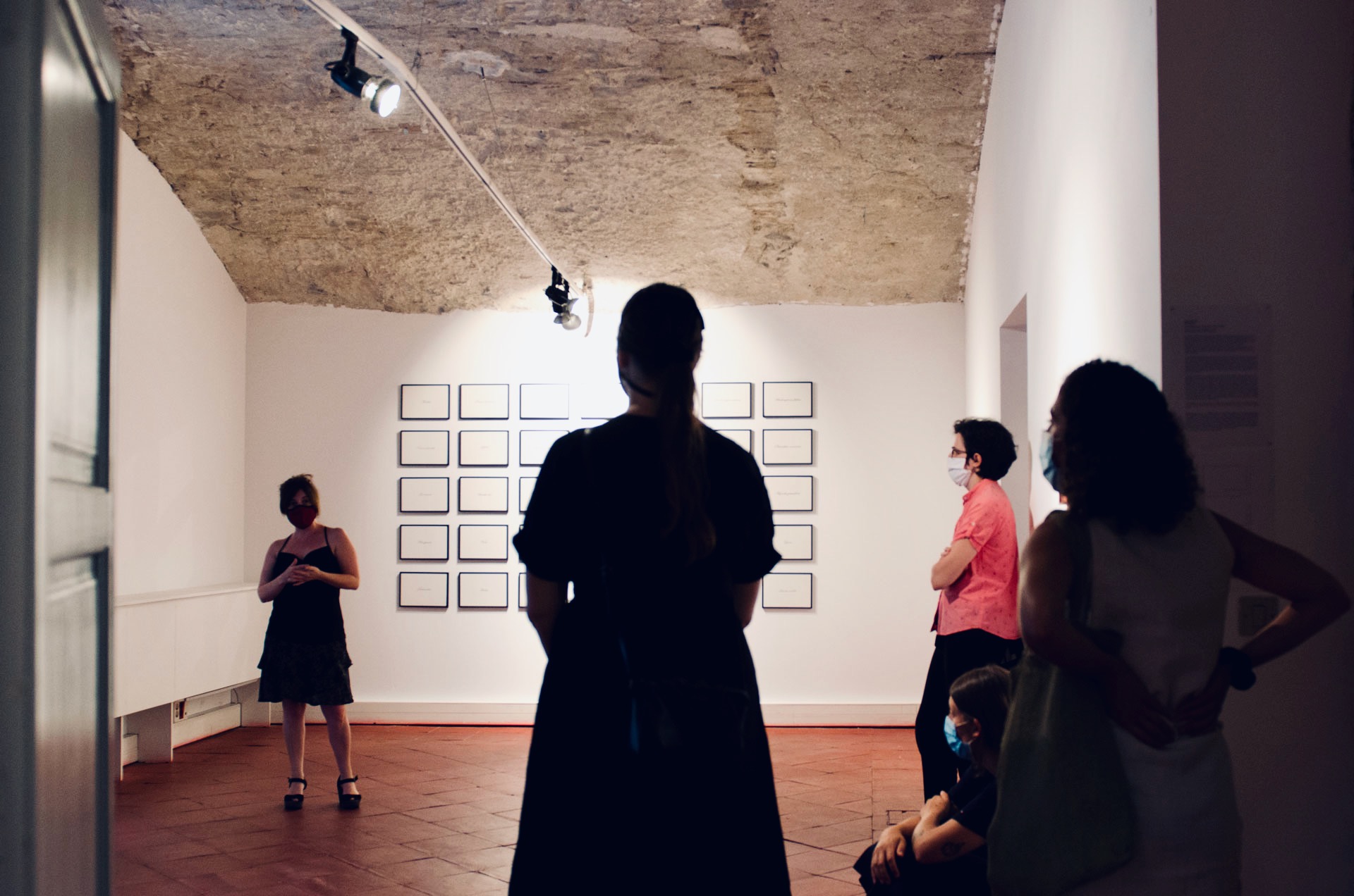 Exposició Les Arecàcies