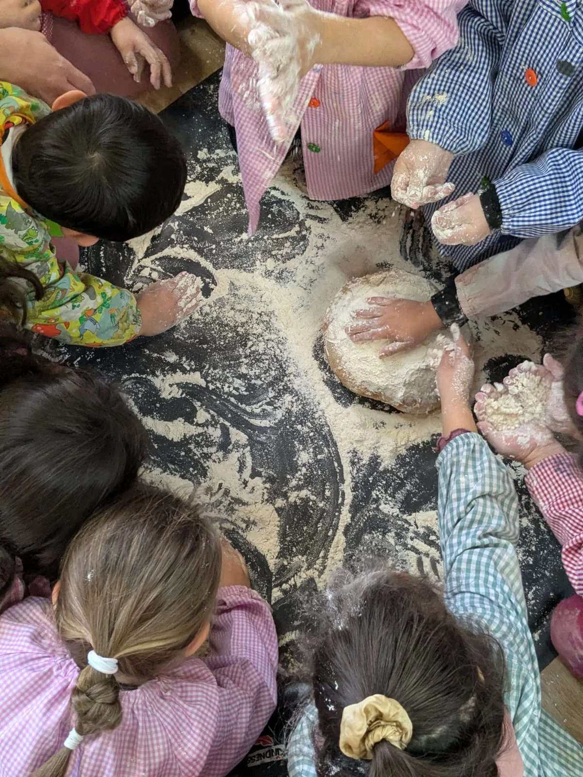 Totes les formes del pa